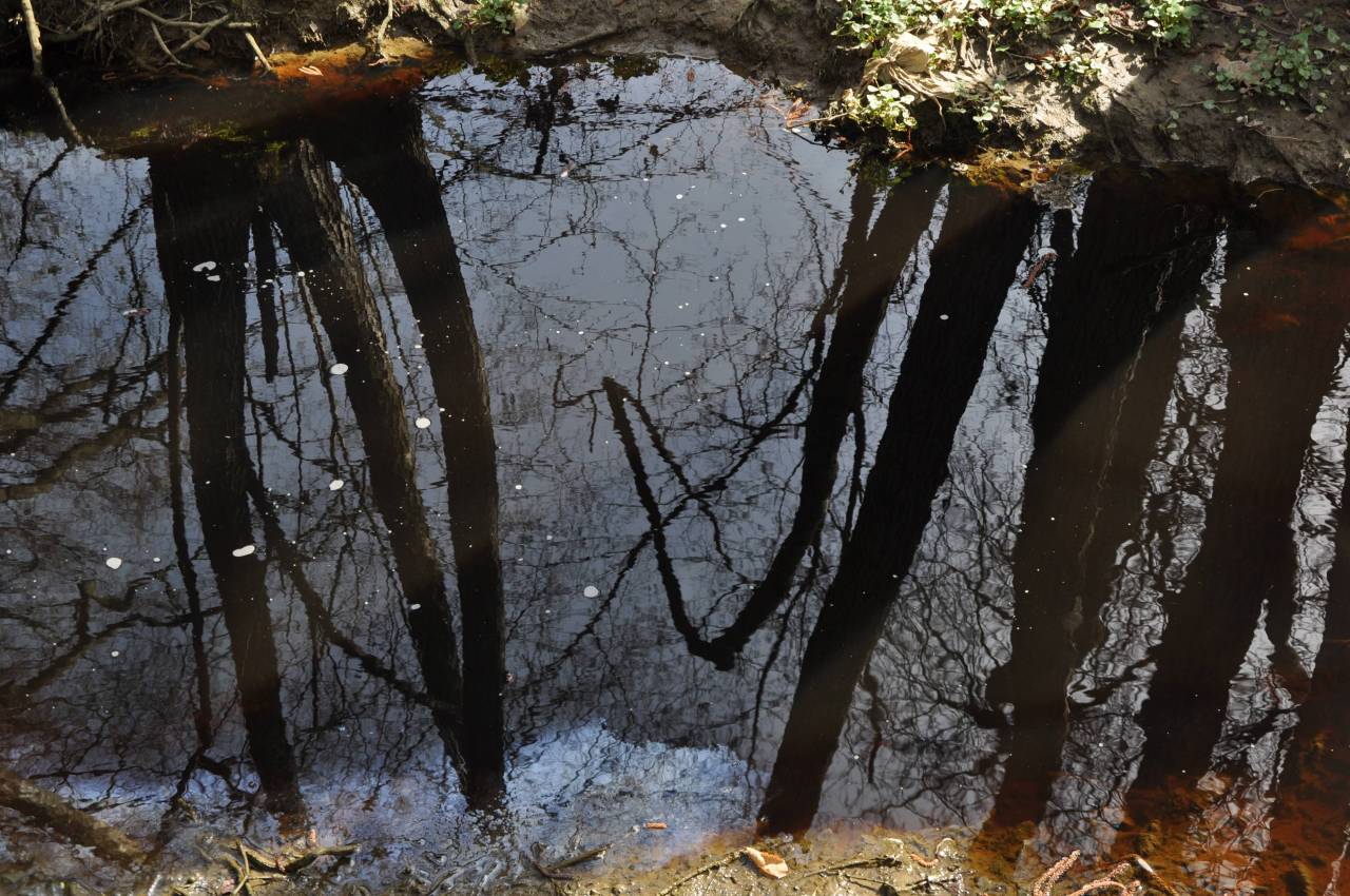 Puconski potok višje proti izviru