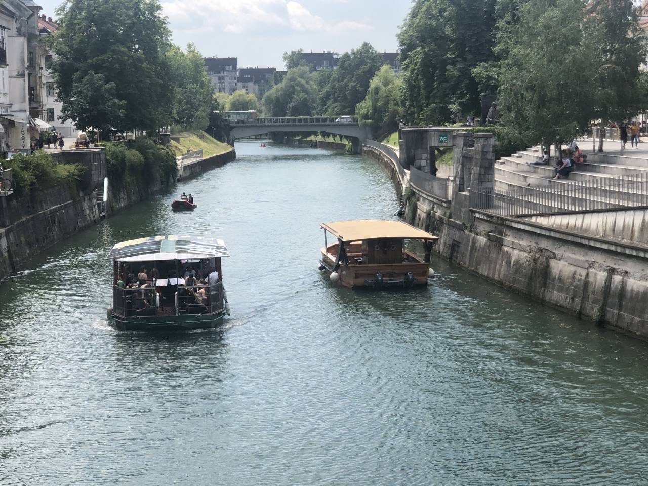 Cene vožnje s turistično ladjico po Ljubljanici se gibljejo od 7 do 10 evrov za odrasle in 5 evrov za otroke. Vožnja za otroke do 4. leta starosti pa je brezplačna.