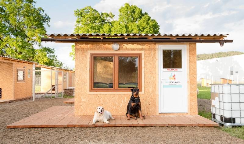V Pasjem vrtcu in hotelu Ljubljana ponujajo dnevno varstvo in varstvo za daljše časovno obdobje.