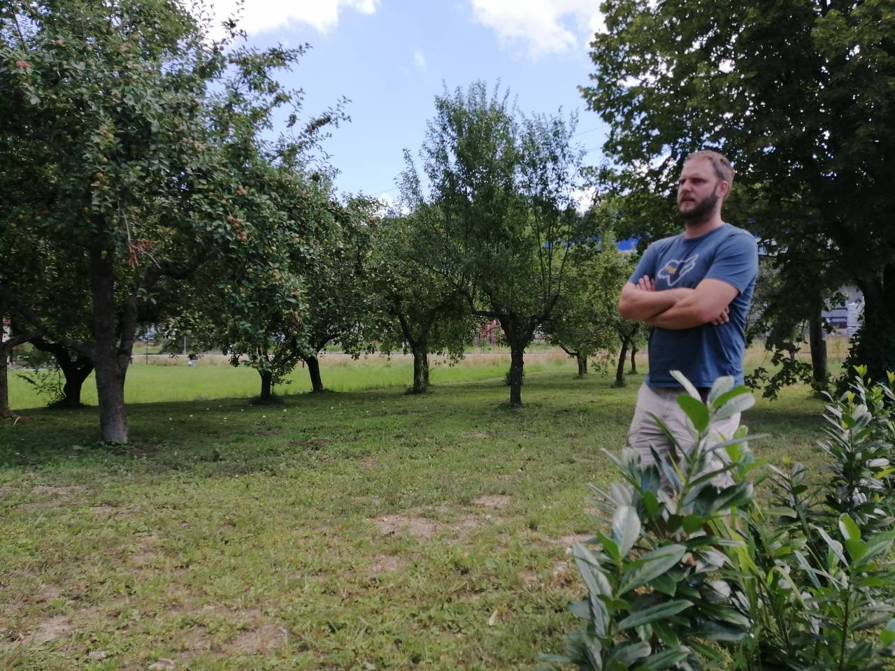V prihodnosti bo ob robu tega sadovnjaka, ob cesti, stala lesena brunarica, v kateri boste lahko kupili Rooster pivo. 