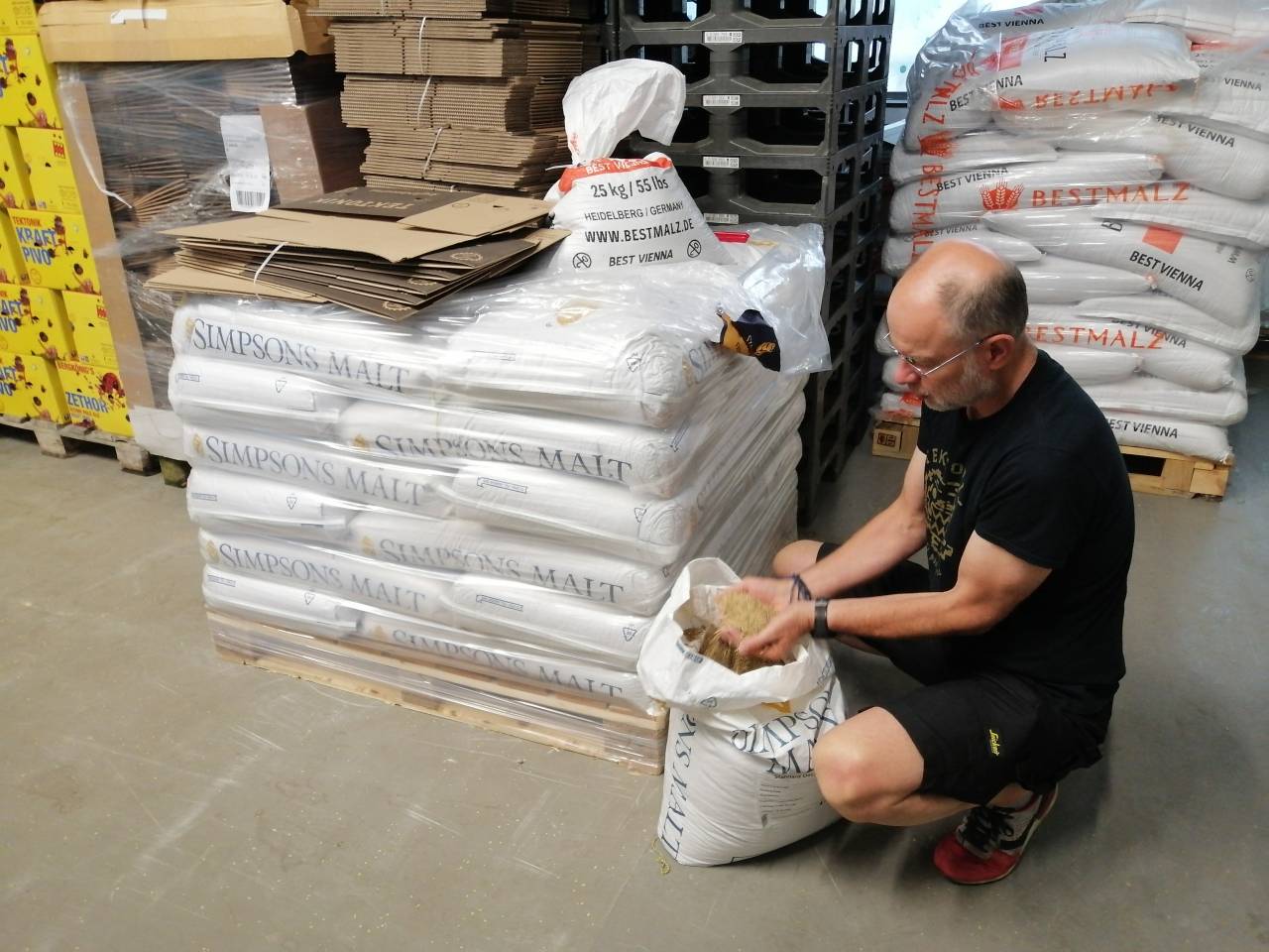 Marko na delu: preverja kakovost ovsa, enega od žit, iz katerih izdelujejo slad za njihova piva.  