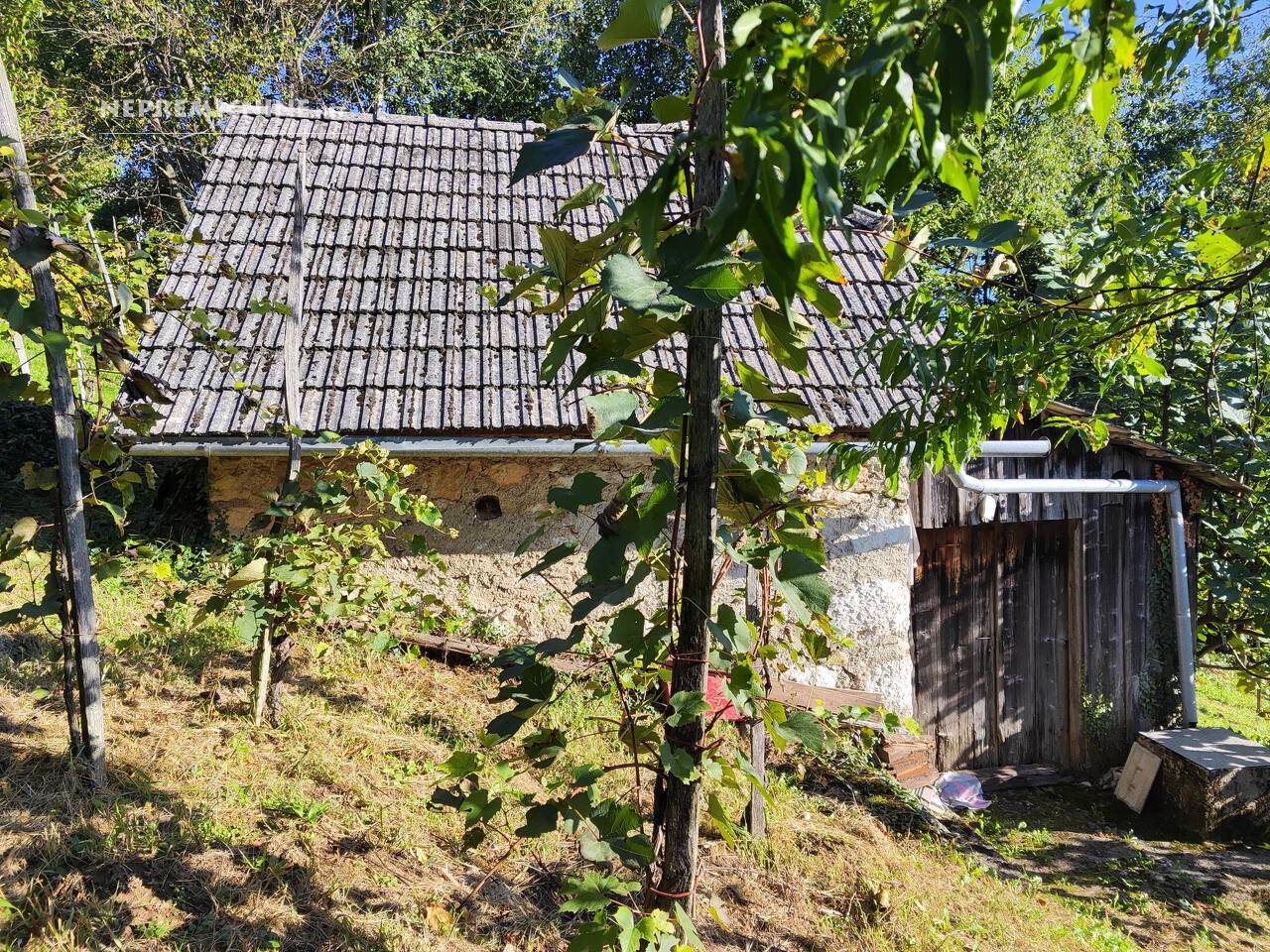 Foto: nepremicnine.net