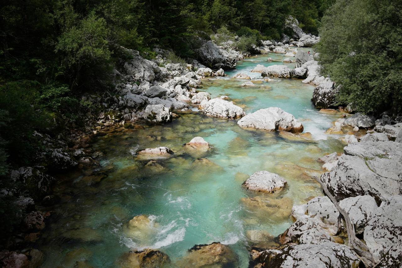 Moško truplo opazili v reki, iz vode so ga izvlekli gasilci