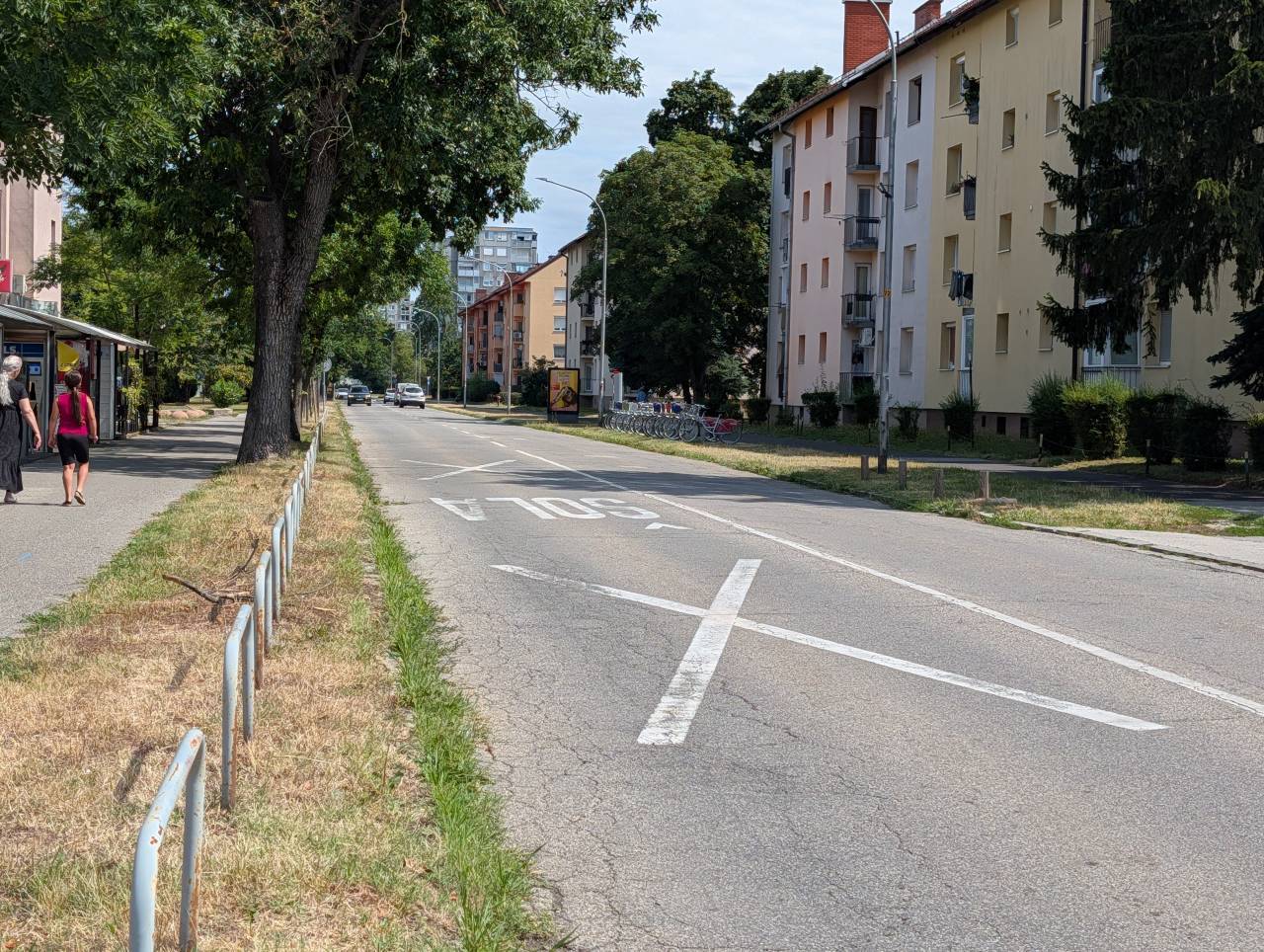Ljubljanska ulica v Mariboru dobiva nov drevored: Odstranili bodo 17 dreves, koliko novih bodo zasadili?