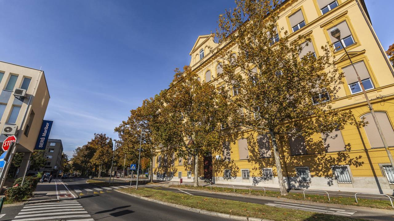 Mariborska gimnazija najbolj športna šola: »Rezultat truda, zavzetosti in športnega duha naših dijakinj in dijakov«
