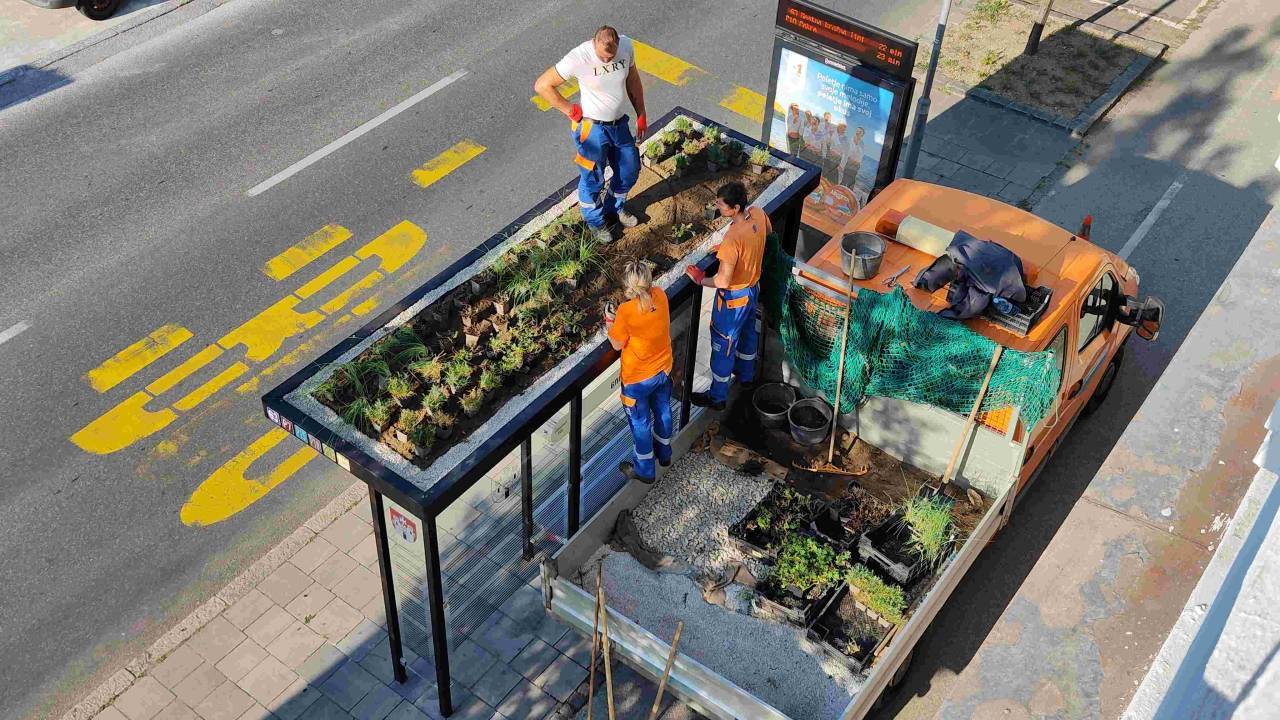 V Mariboru prihodnje leto nove zelene avtobusne nadstrešnice, znano je, kje jih bodo postavili