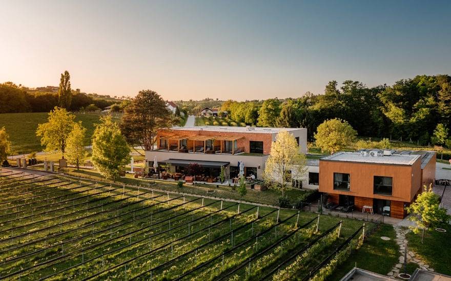 Martinovanje, kot ga še niste doživeli: Črna kuhna in Posestvo Glavinič pripravljata nepozaben vikend med vinogradi