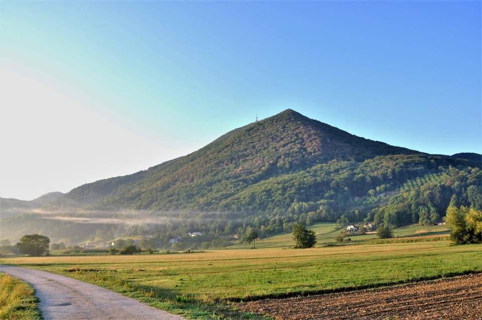 Več kot 2,5 milijona evrov za nove podjetniške priložnosti v Podravju