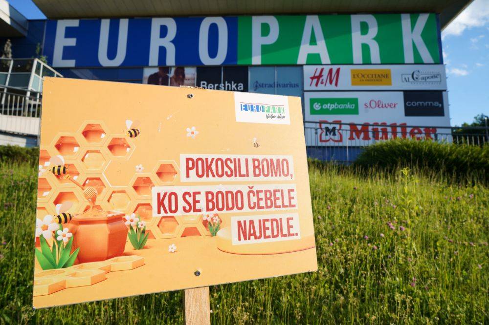 Europark ob svetovnem dnevu čebel spodbuja ohranjanje opraševalcev