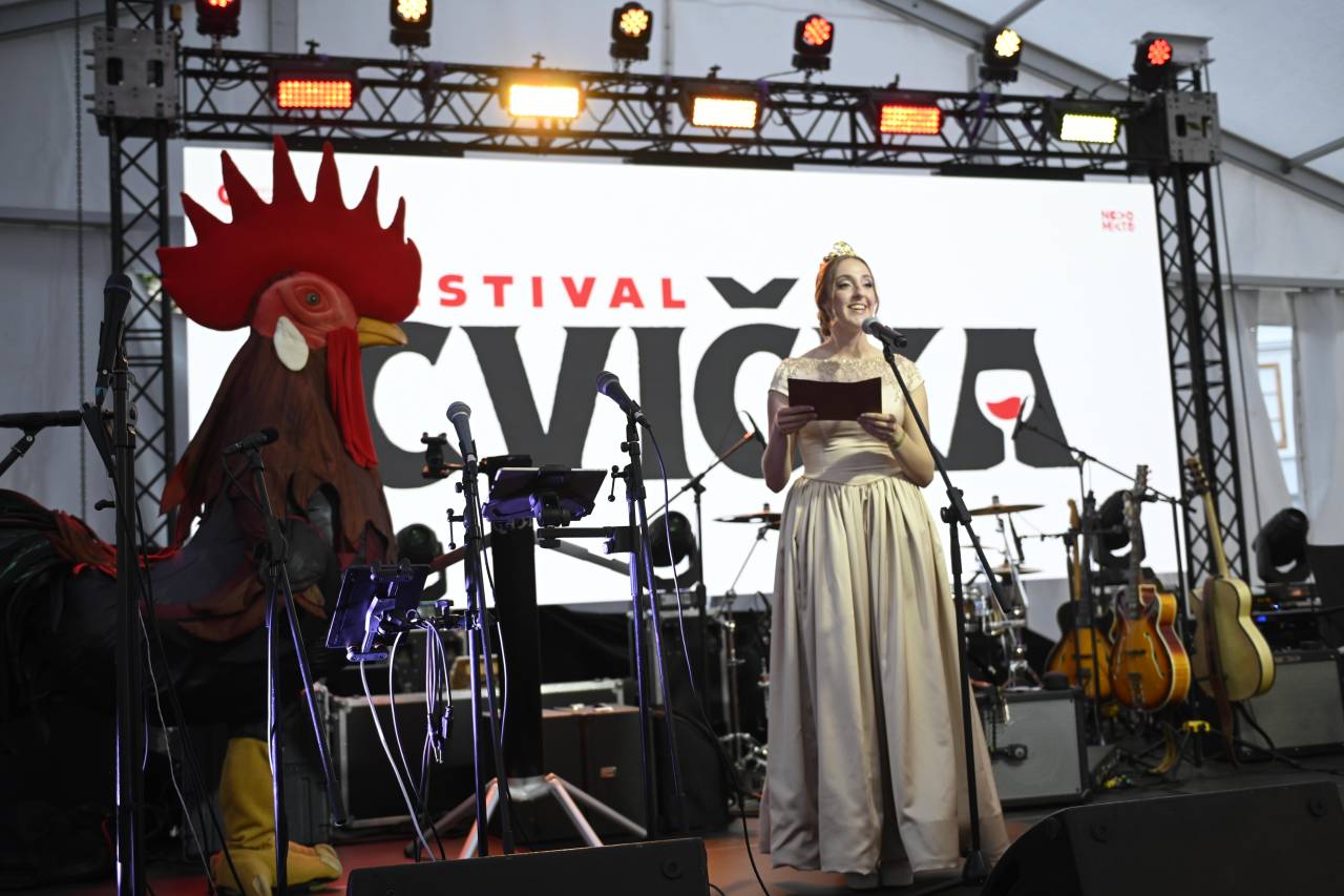 FOTO in VIDEO: Festival cvička Novo mesto oblekel v svetovno prestolnico vina