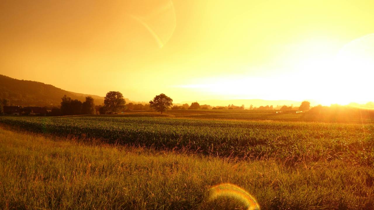 Pred nami sončno in zelo toplo vreme, v sredo možen preobrat