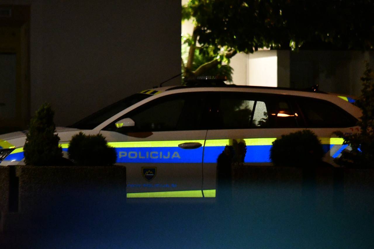 Konja na avtocesti povzročila kaos: Voznik po silovitem trku potreboval pomoč reševalcev