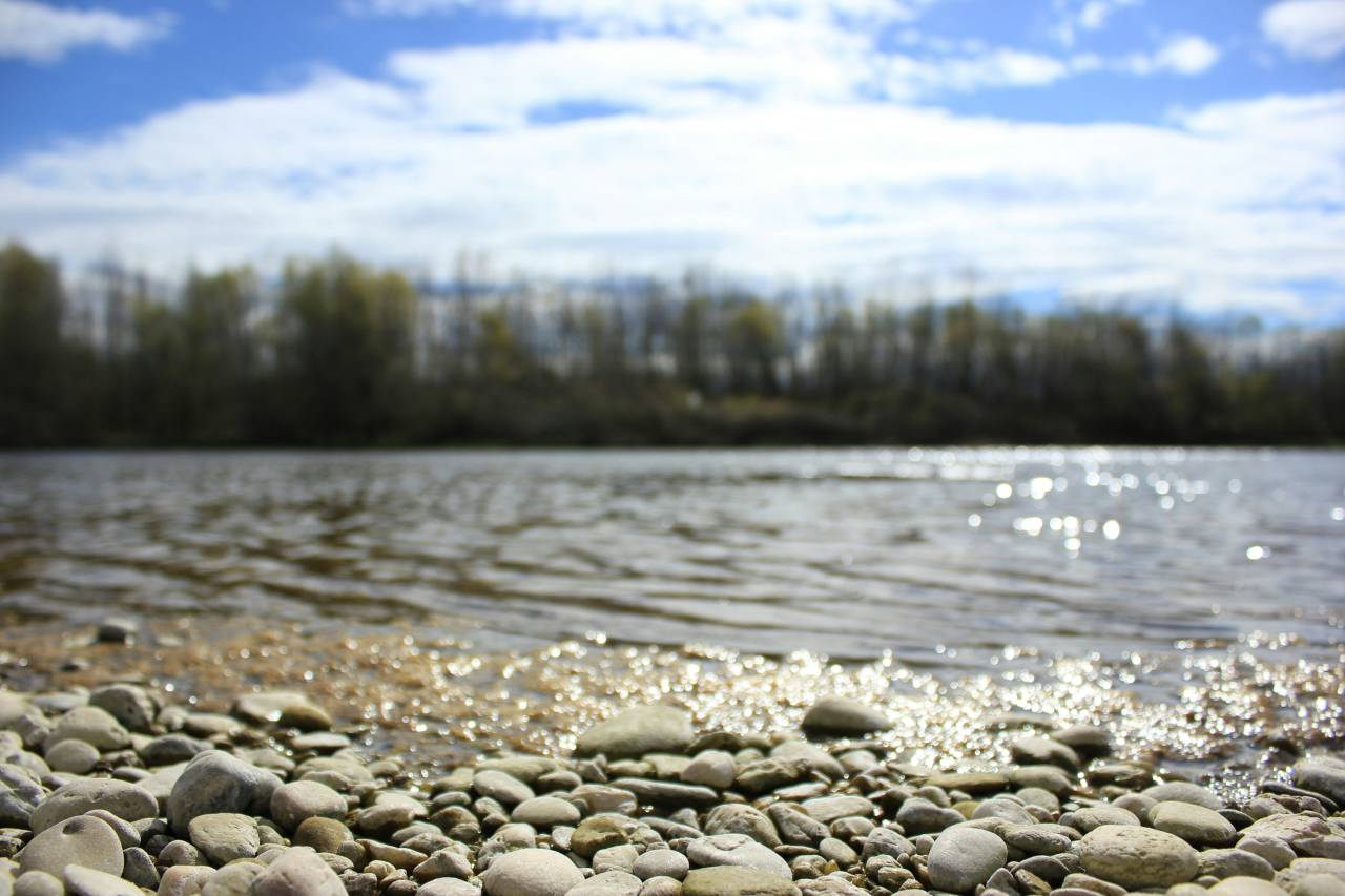 Drava dosegla zgodovinsko dno, vodostaj najnižji od začetka meritev