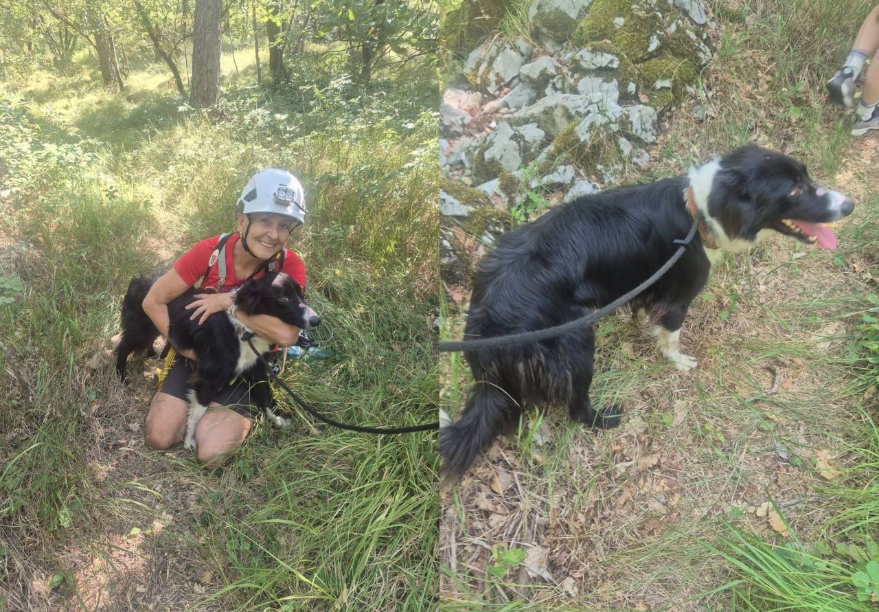 Ganljiv razplet: Cookie po treh tednih znova v objemu svoje skrbnice