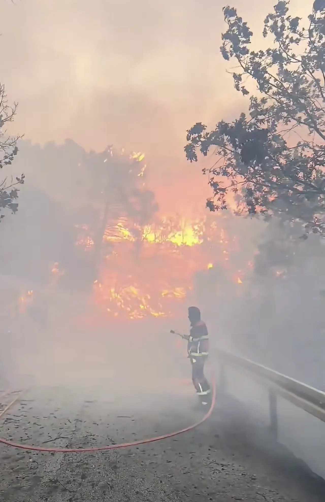 VIDEO: Tudi na Pelješcu velik požar, ogenj se hitro širi