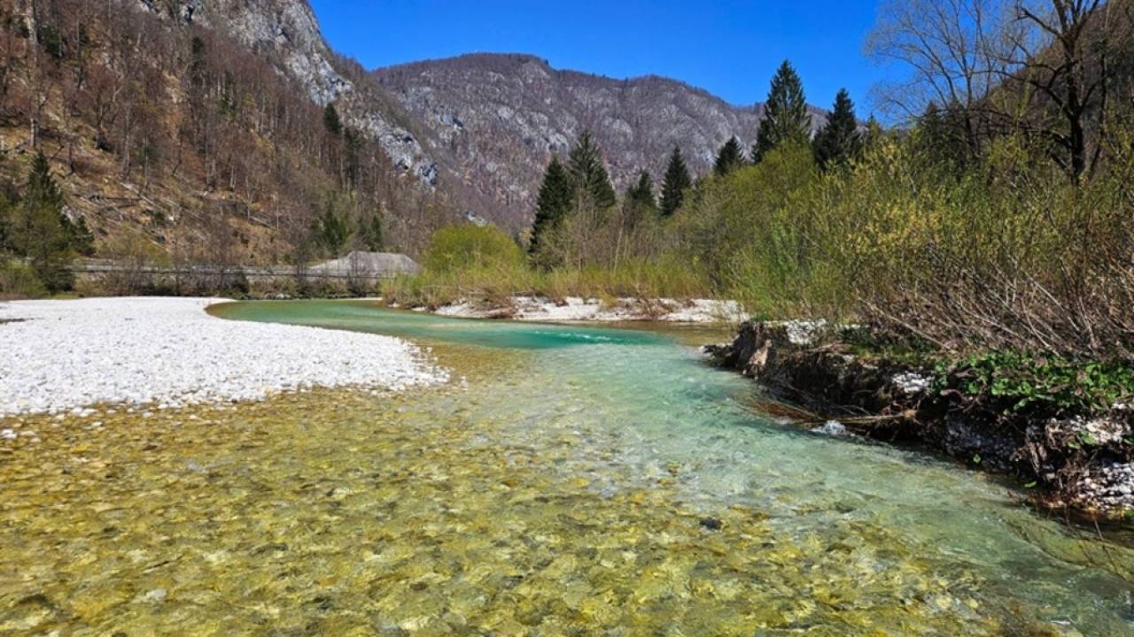 Ne le v zraku, tudi v vodi letos izmerjene rekordne temperaturne vrednosti