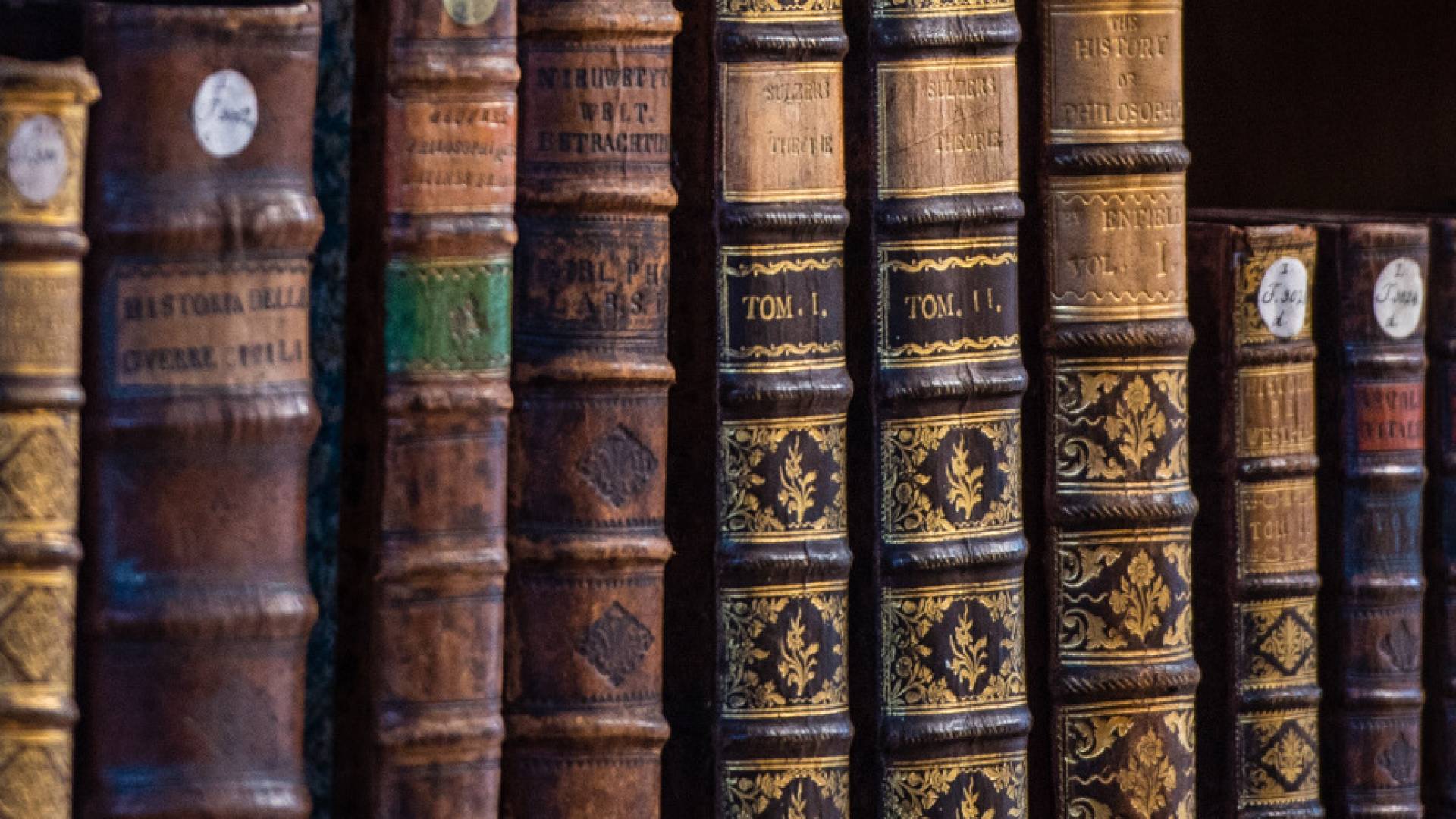 slika prikazuje stare knjige na eni polici