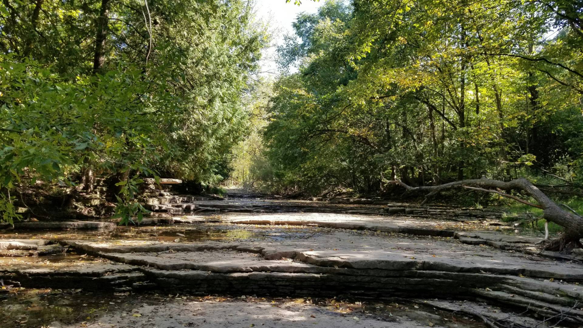 Po neurju na Štajerskem podrta drevesa, poplavljeni podvozi in oviran promet