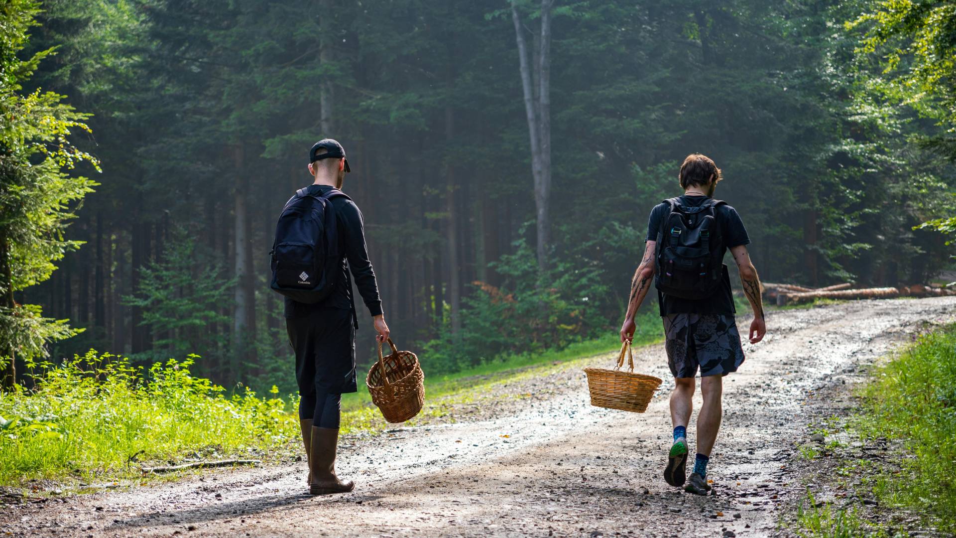 Kje v Ljubljani rastejo gobe