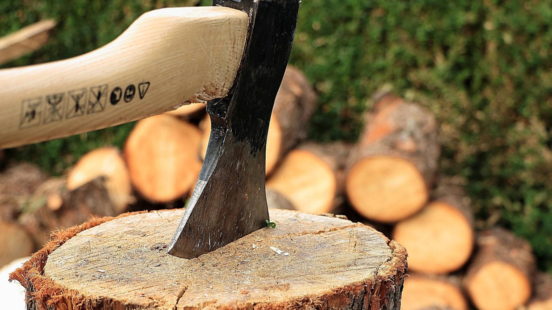 V Zalogu 44-letnik umrl med podiranjem smreke