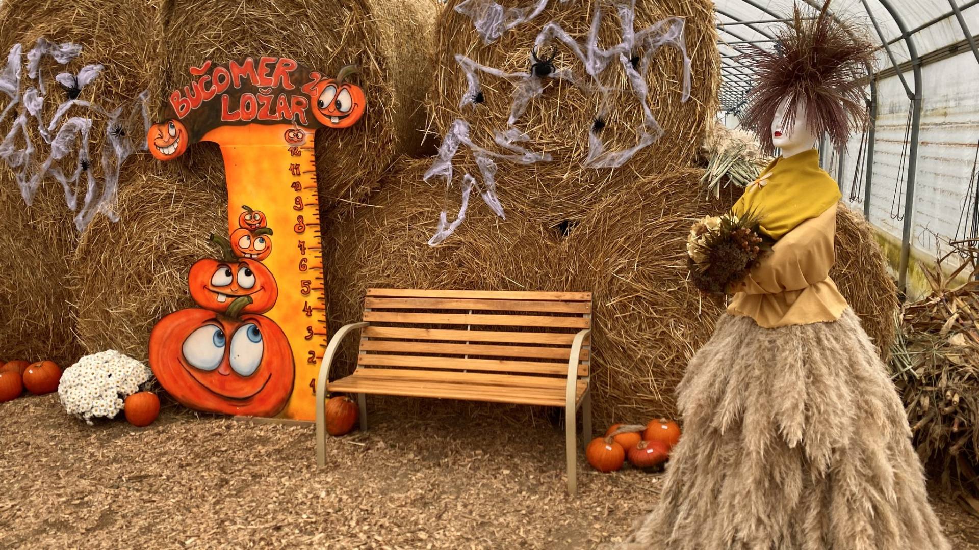 Počitniški namig za izlet čisto blizu Ljubljane: Razstava buč na kmetiji v Študi