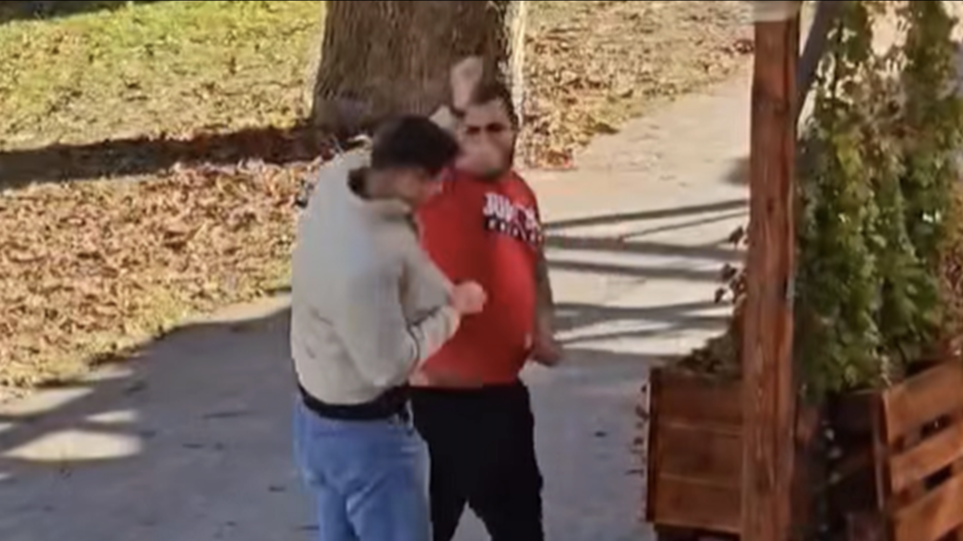 VIDEO: Takšna usoda je doletela nasilneža, ki je občanu v Novem mestu prisolil zaušnico