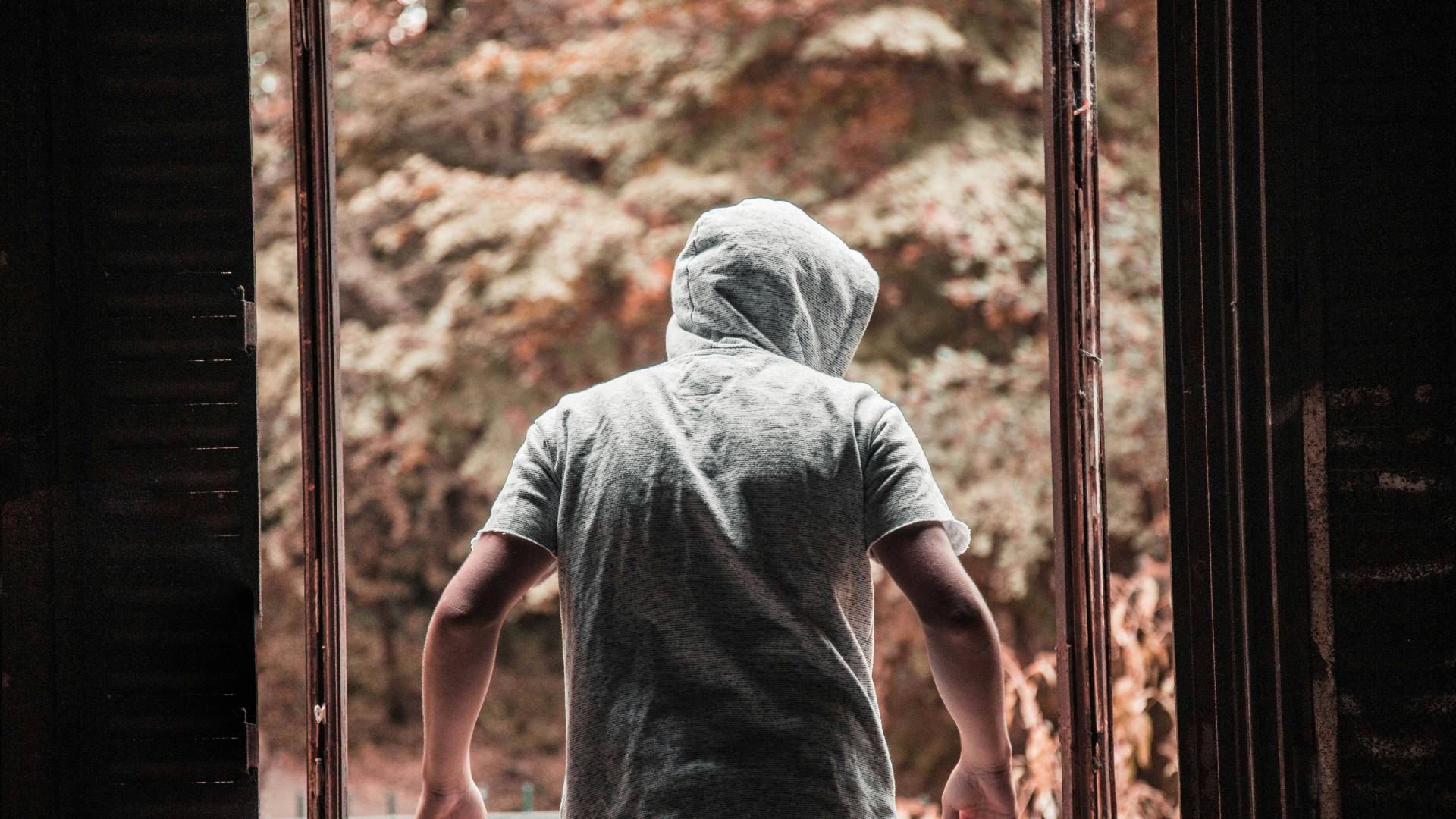 Val vlomov po Ljubljani. Hiše, poslovni prostori, klet