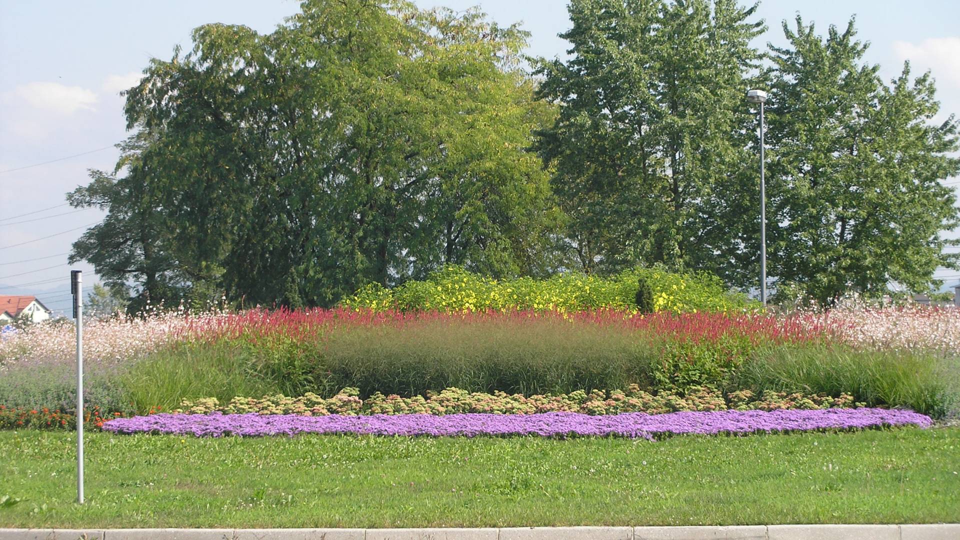 Ga je Mestna občina Ljubljana pokronala pri zasaditvi krožišča pri Plečnikovih Žalah?