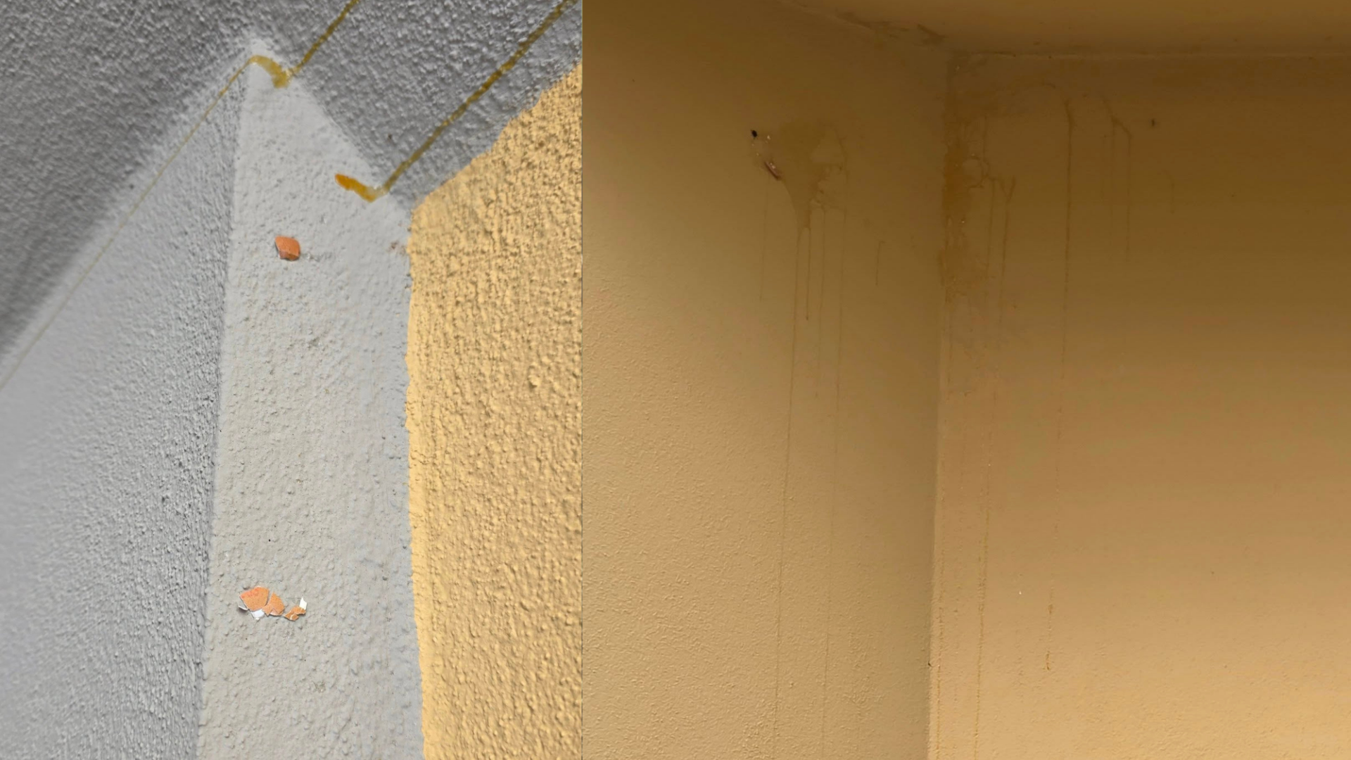 Neznanci z jajci obmetavali obnovljeno vilo