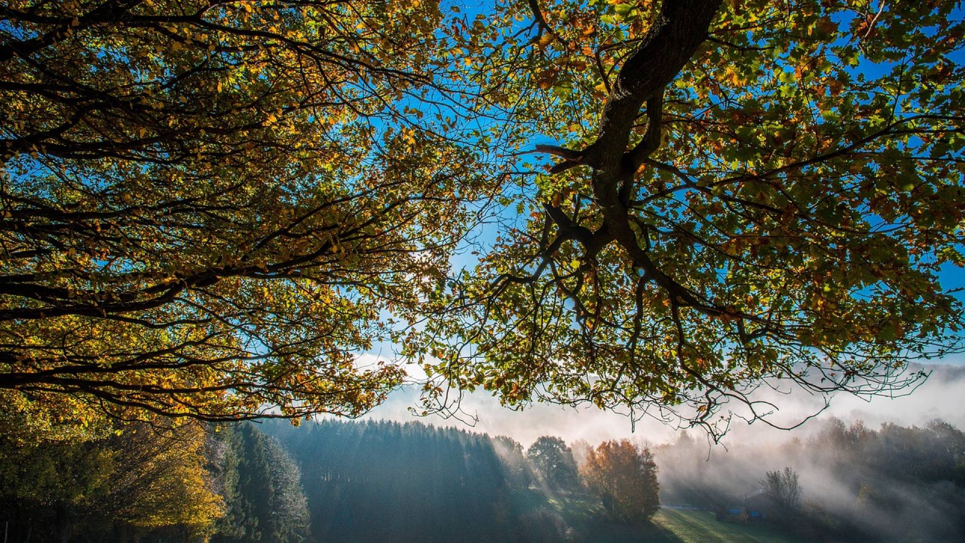 Topel oktober se poslavlja v jesenskem slogu , prihajajo oblaki, veter in ohladitev