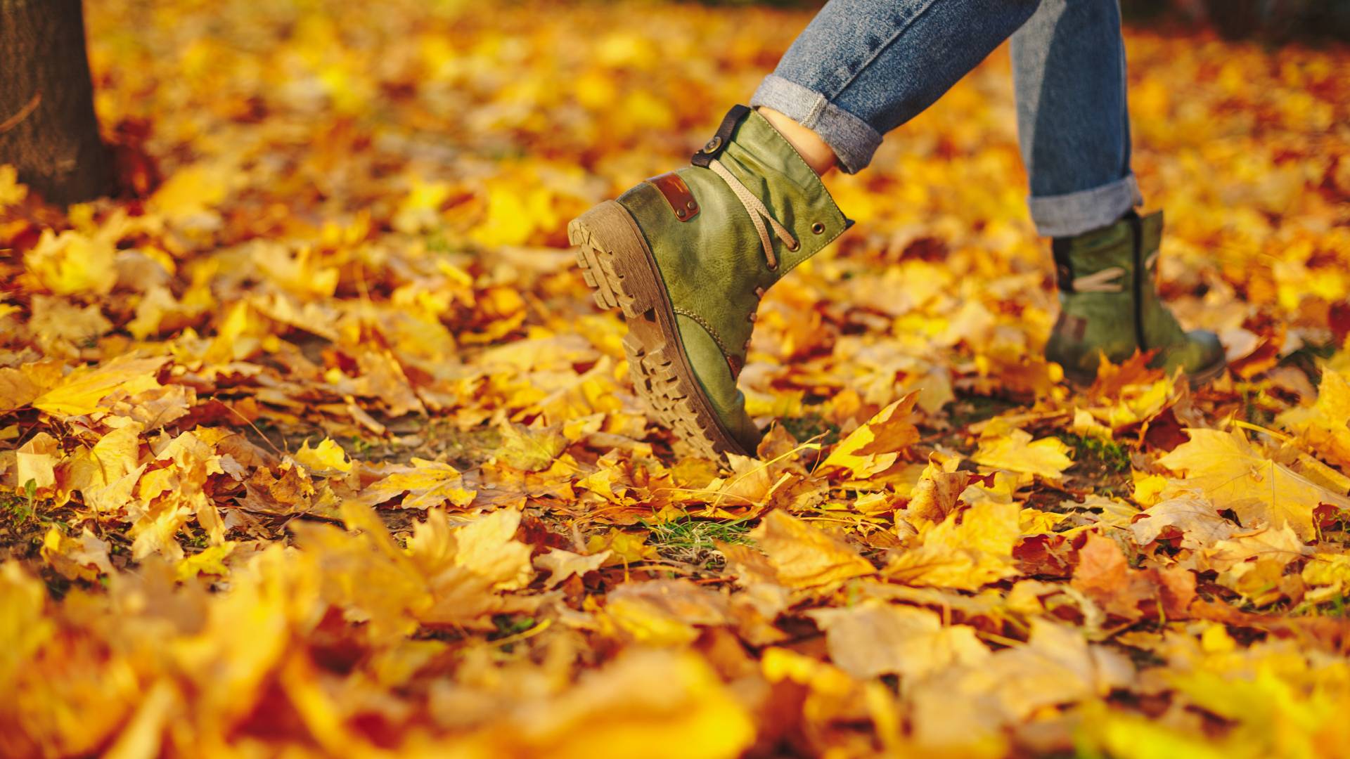 Drama na nebu, Venera in Kiron prebujata stare negotovosti