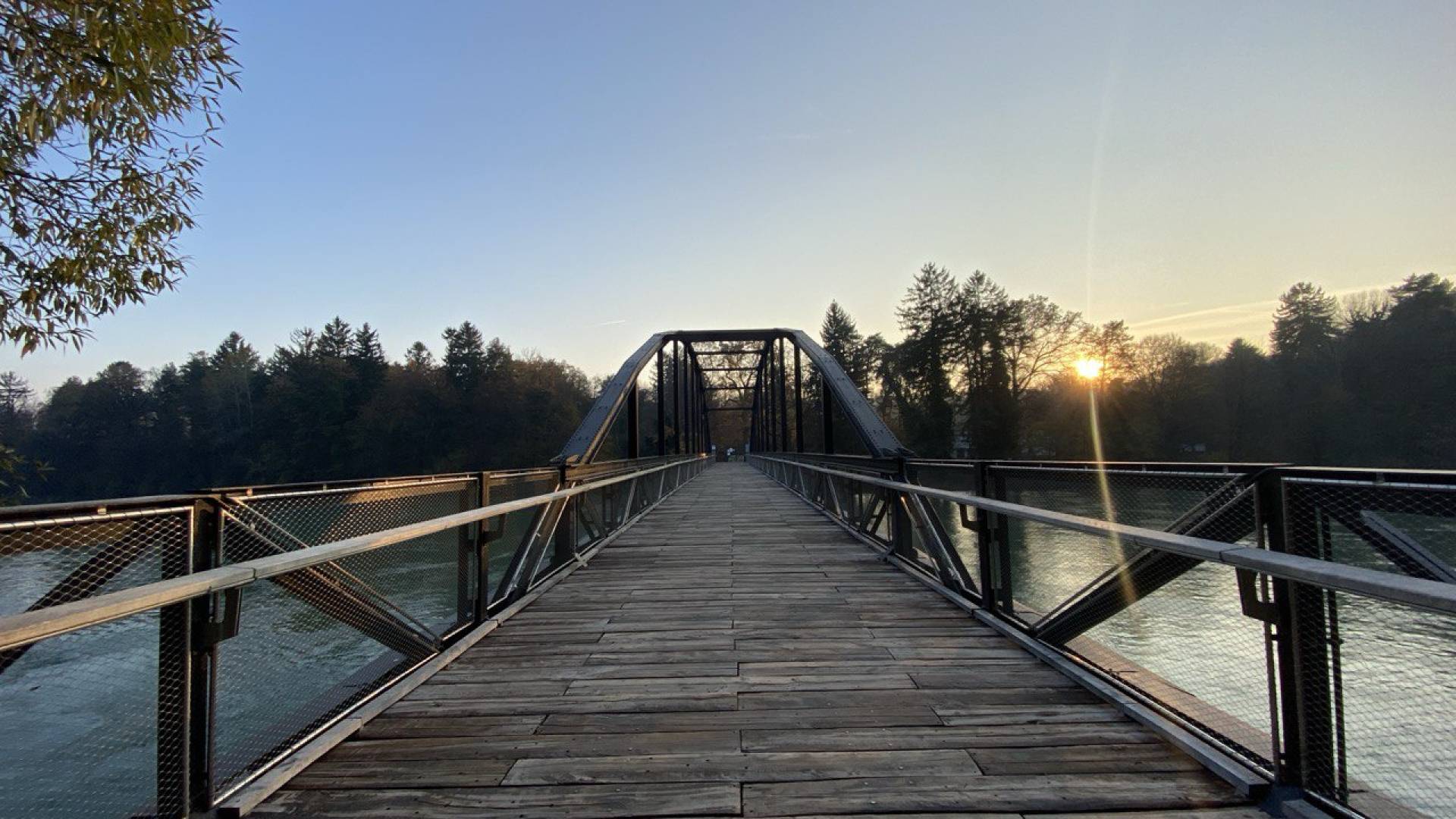 Pozor! Na Mariborski otok le peš in po označenih poteh. Vožnja je prepovedana