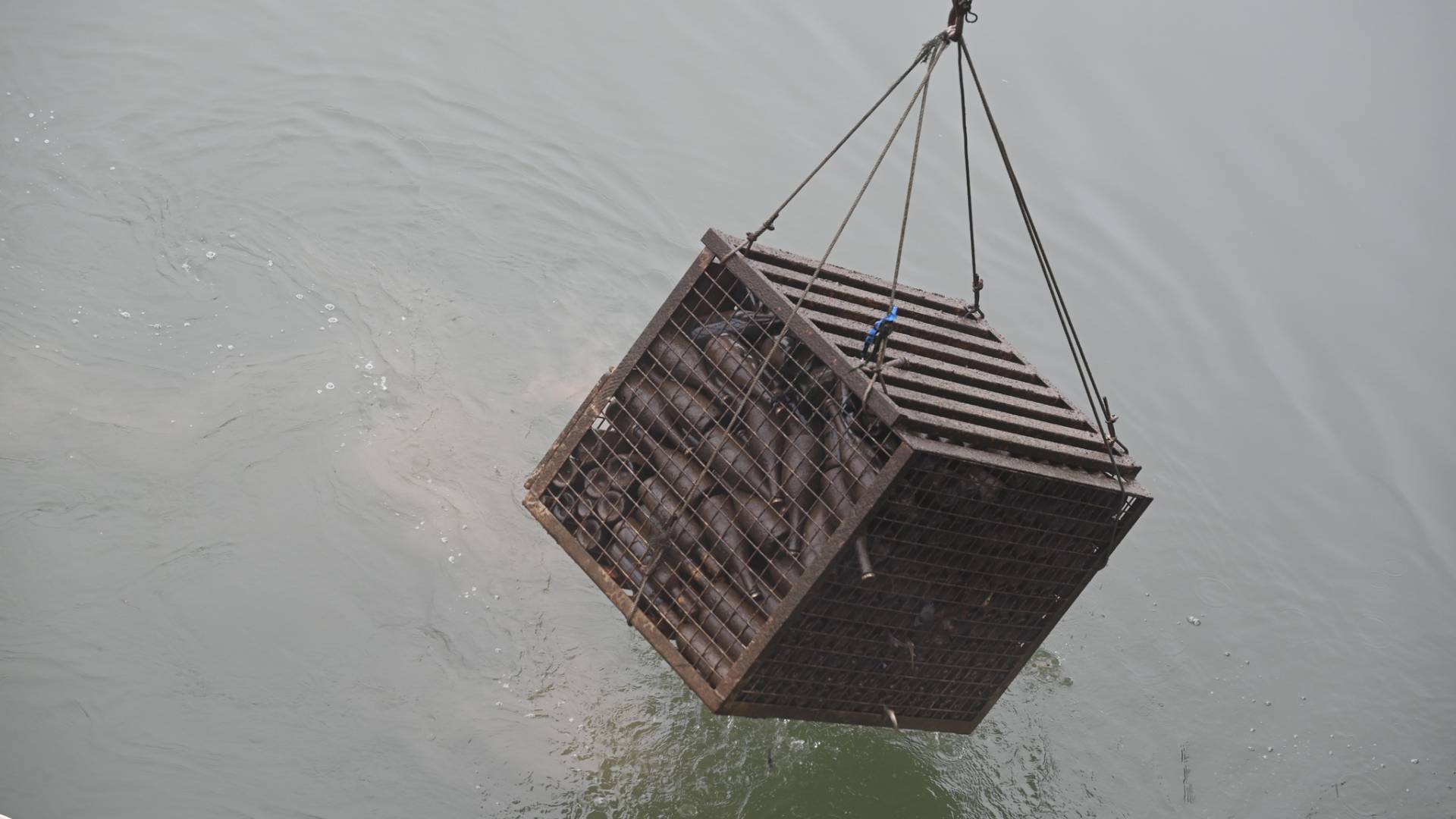 Na martinovo iz Drave dvignili 400 steklenic vina