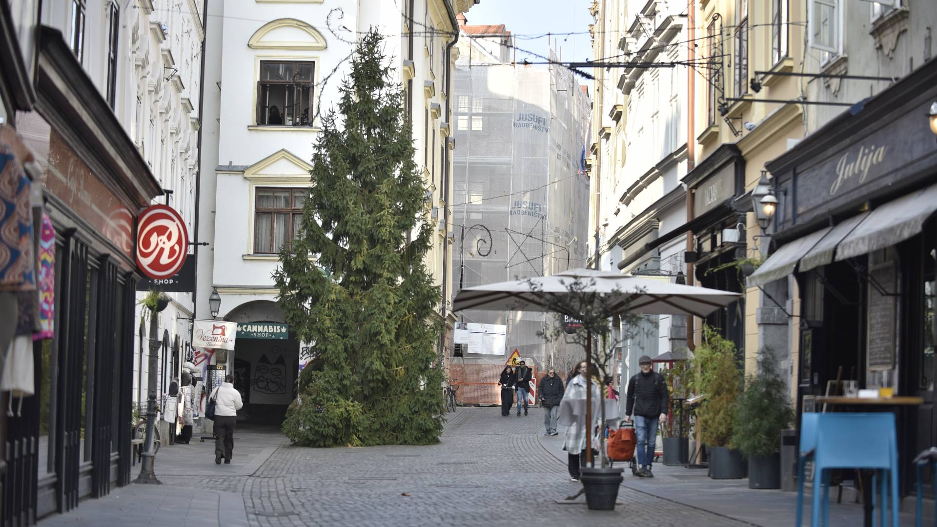 FOTO in VIDEO: Na pragu najlepšega dela leta, ujeli smo prvo znanilko