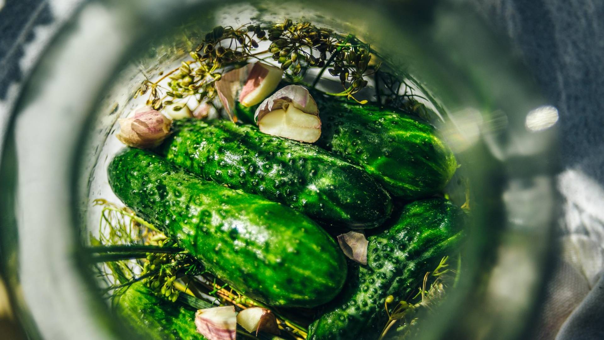 Vzorci vložene zelenjave pod drobnogledom – to je pokazal nadzor UVHVVR!