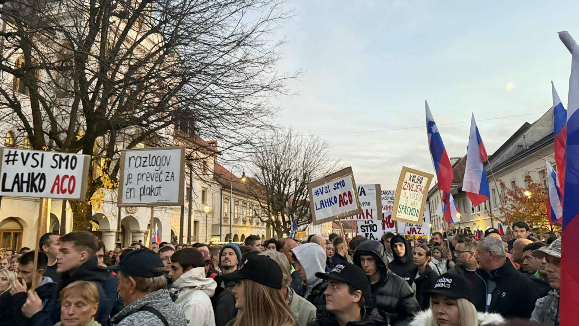 Šutarjev zakon na odboru DZ naletel na val kritik pravosodja, nevladnikov in Romov