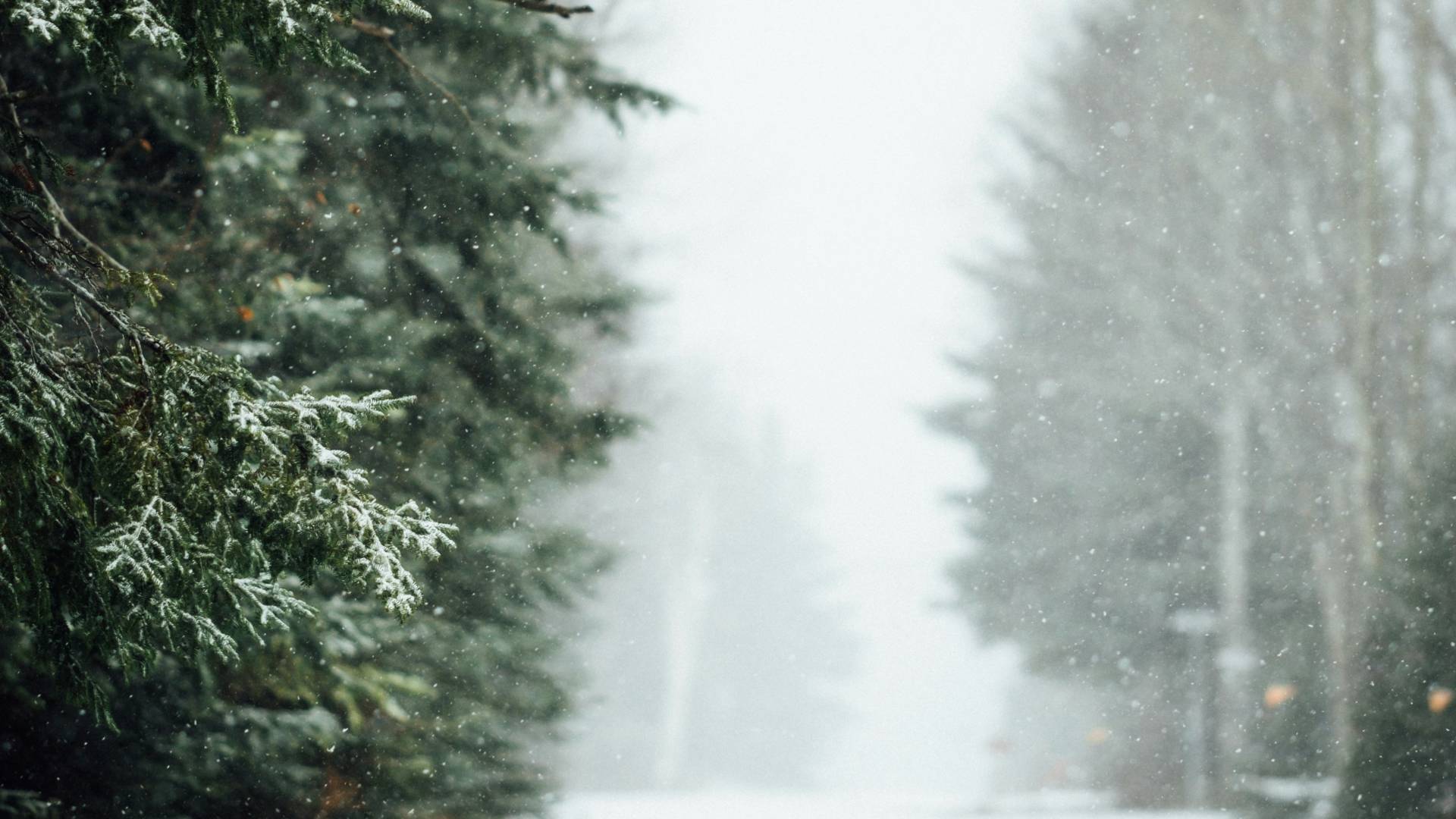Slovenijo čaka hladna fronta, meja sneženja se bo spustila