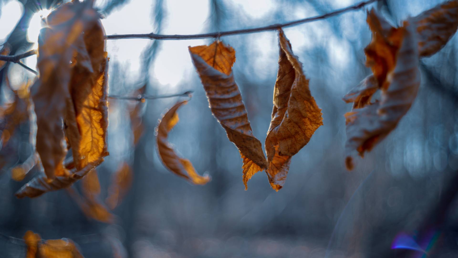 Prihaja nekaj vremenskih preobratov, kaj lahko pričakujemo po zadnjih napovedih?