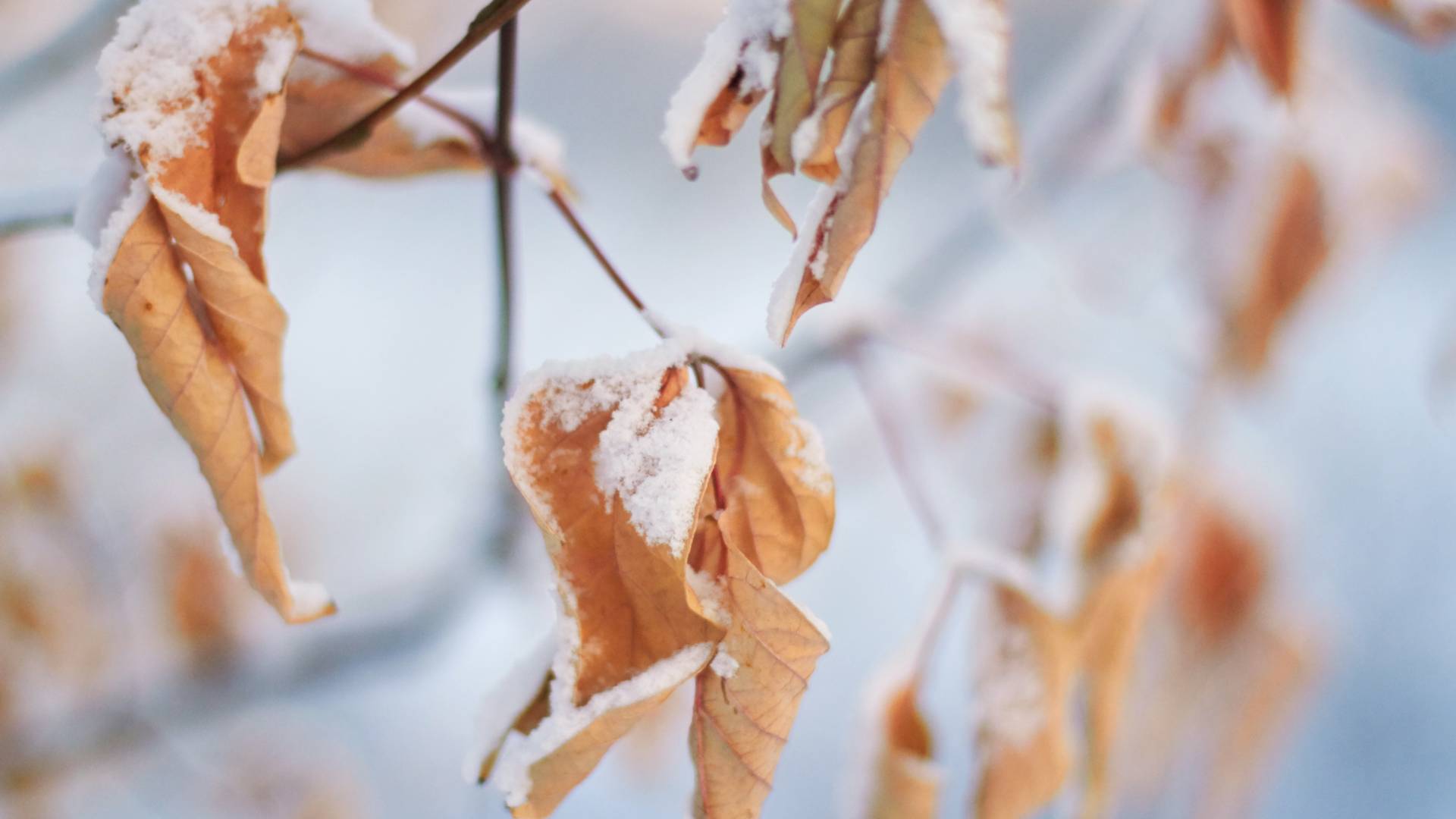 Prihaja nestanoviten začetek tedna, kaj razkrivajo vremenoslovci?