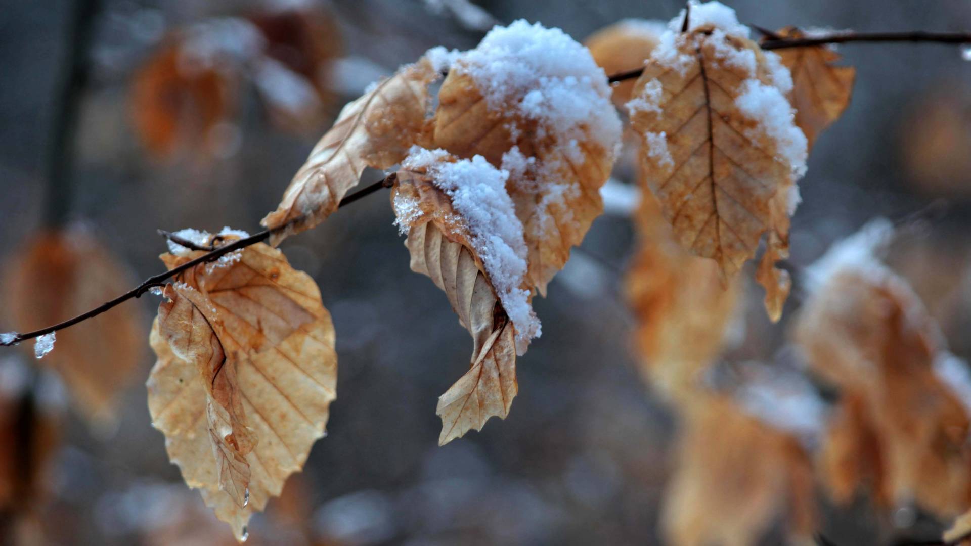 V prihodnjih dneh bo vreme raznoliko, kaj o tem pravijo meteorologi?