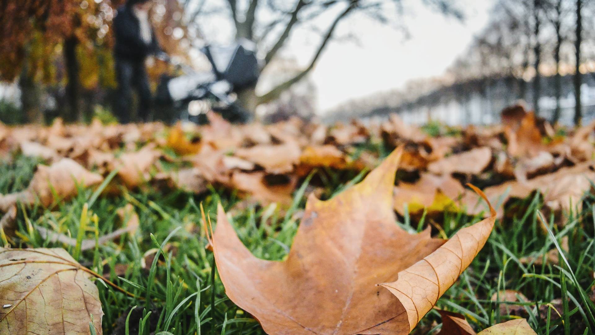 Pred nami so vremenski preobrati, kaj napovedujejo vremenoslovci?