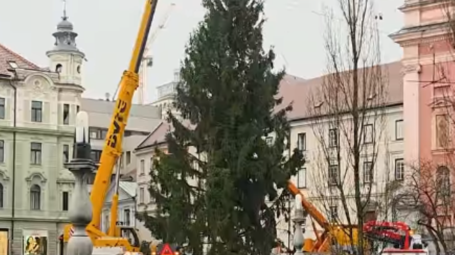 VIDEO: Praznična smreka iz Medvod že krasi Prešernov trg, občina zbira predloge za njeno ime