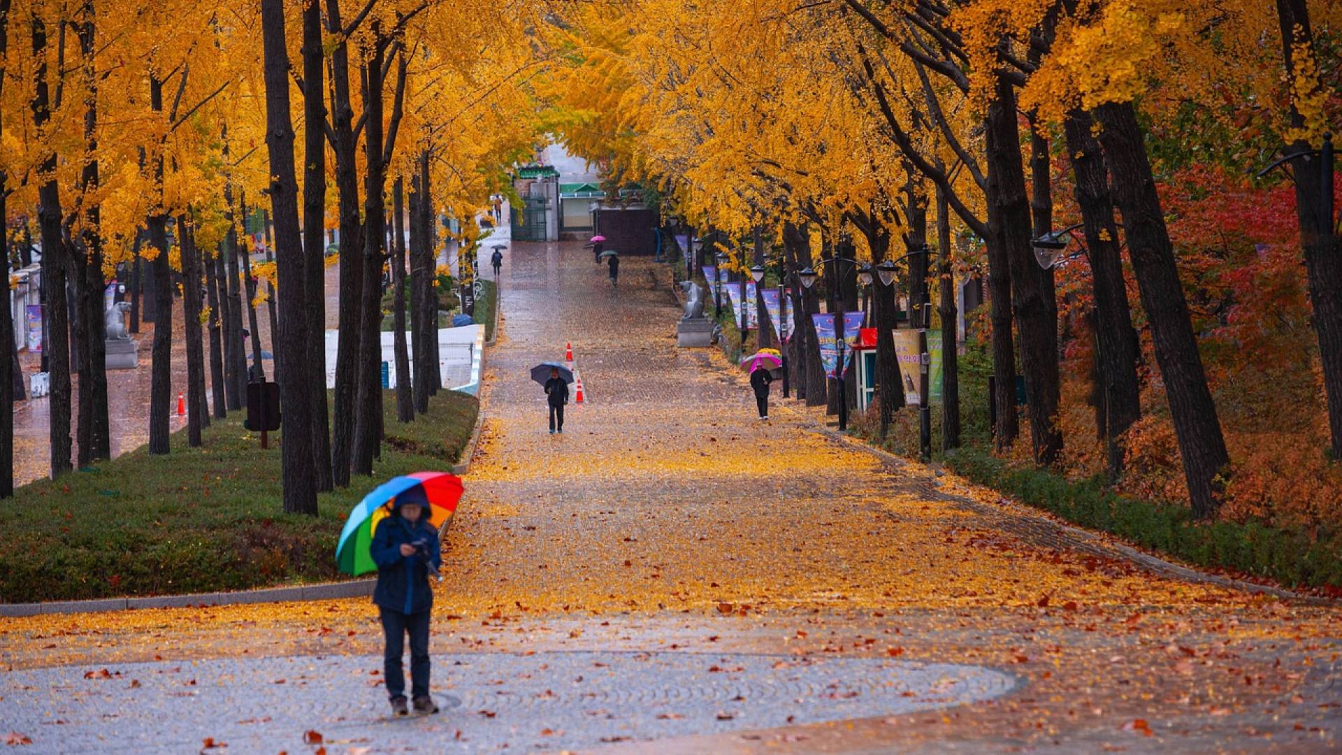 Sonce le še danes na vzhodu, ponoči prihaja dež in močan veter