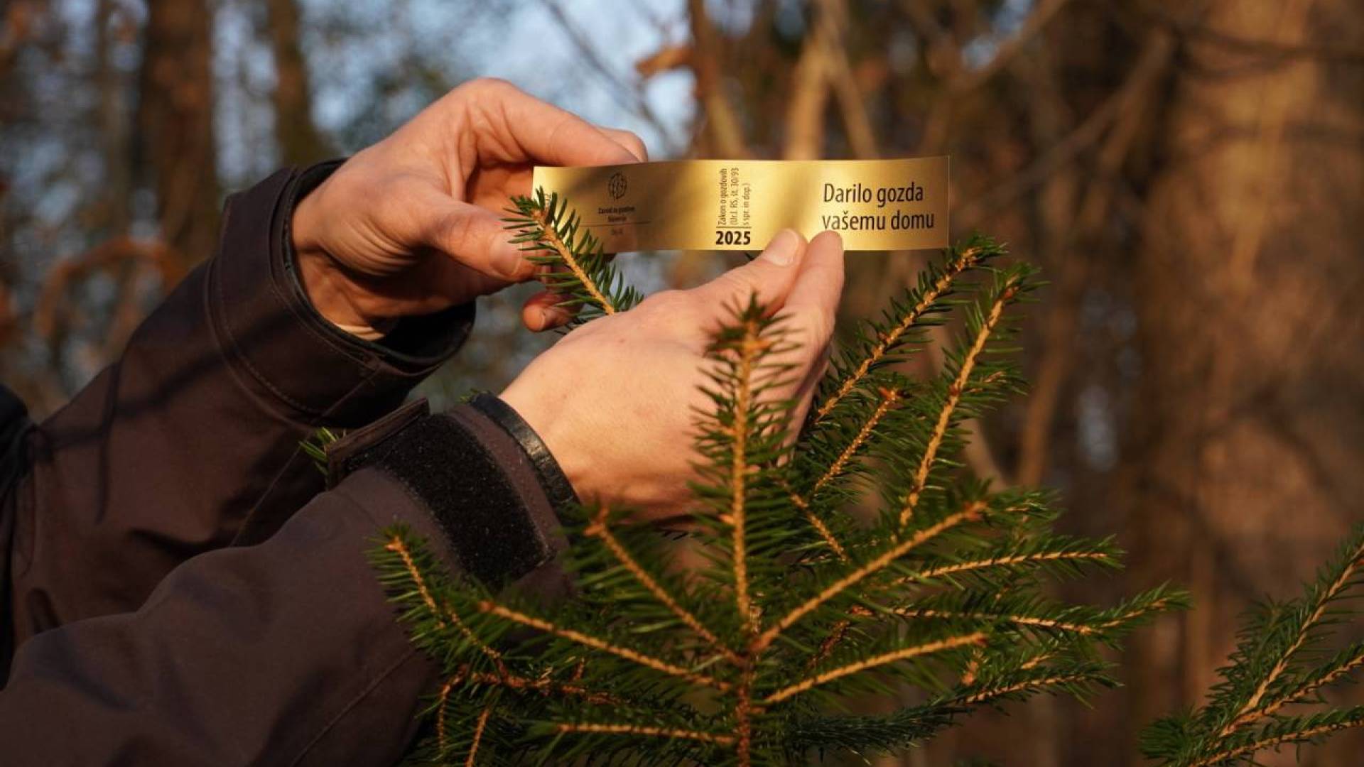 Veste, kaj predstavlja zlata nalepka, ki letos označuje slovenska drevesca? 