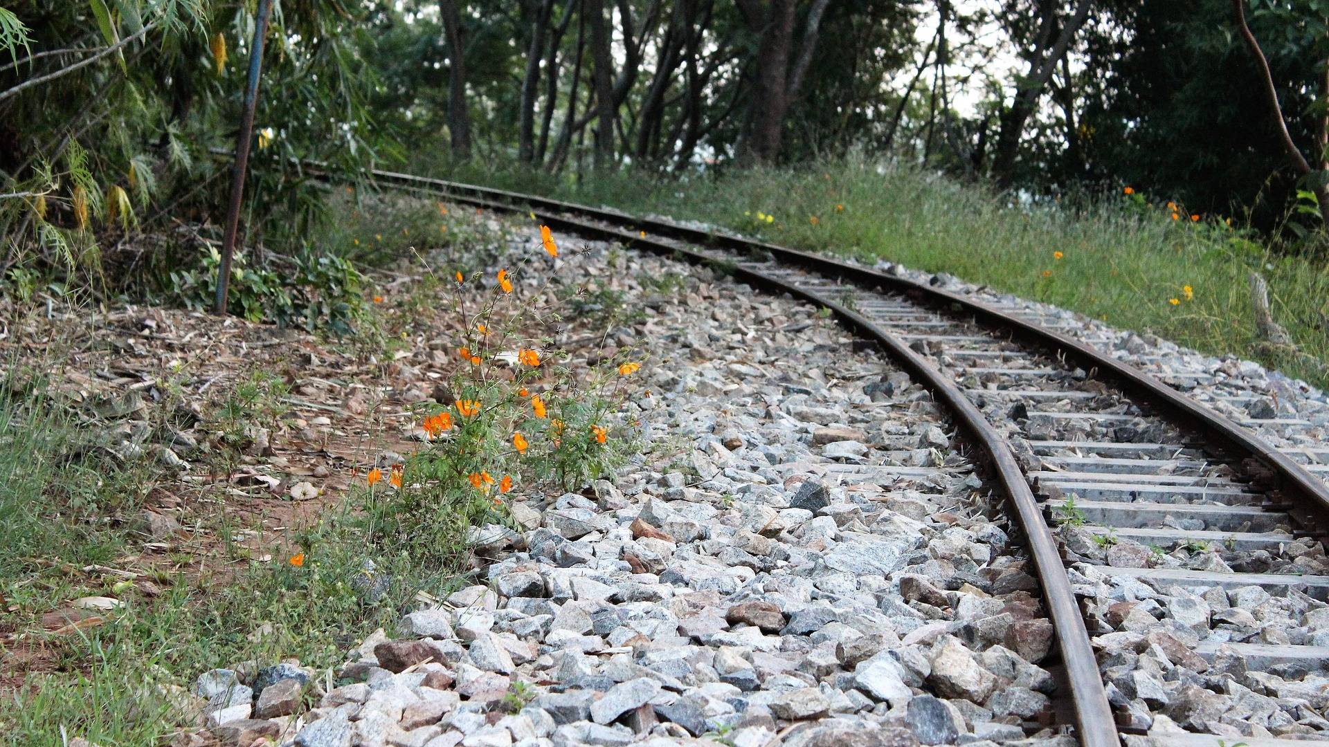 Groza na tirih, neznanec prerezal žične mehanizme