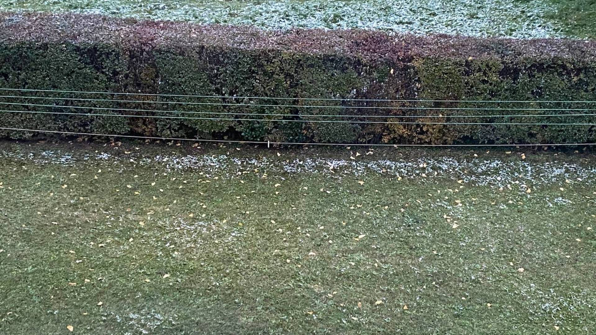 Štajerska ostaja brez snežne odeje, kdaj pa jo lahko pričakujemo?