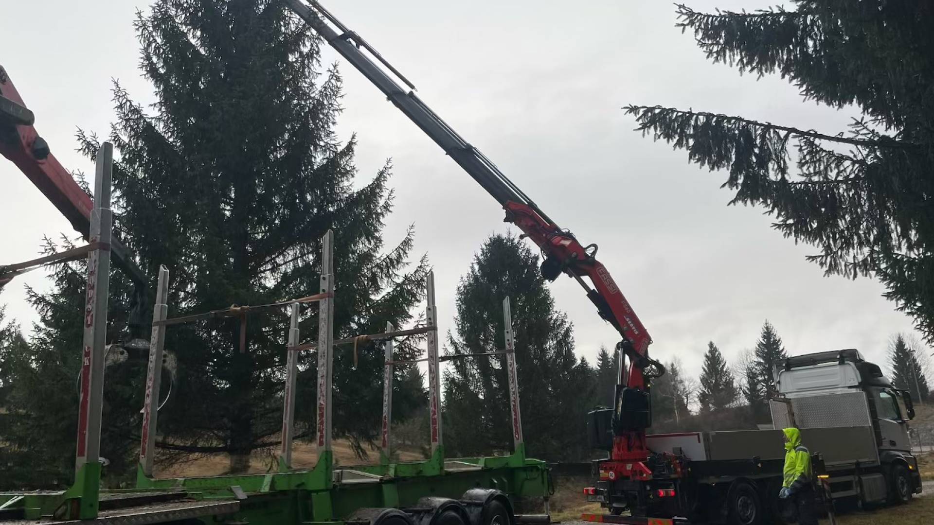Kočevski les postavlja letošnjo novoletno smreko v centru mesta
