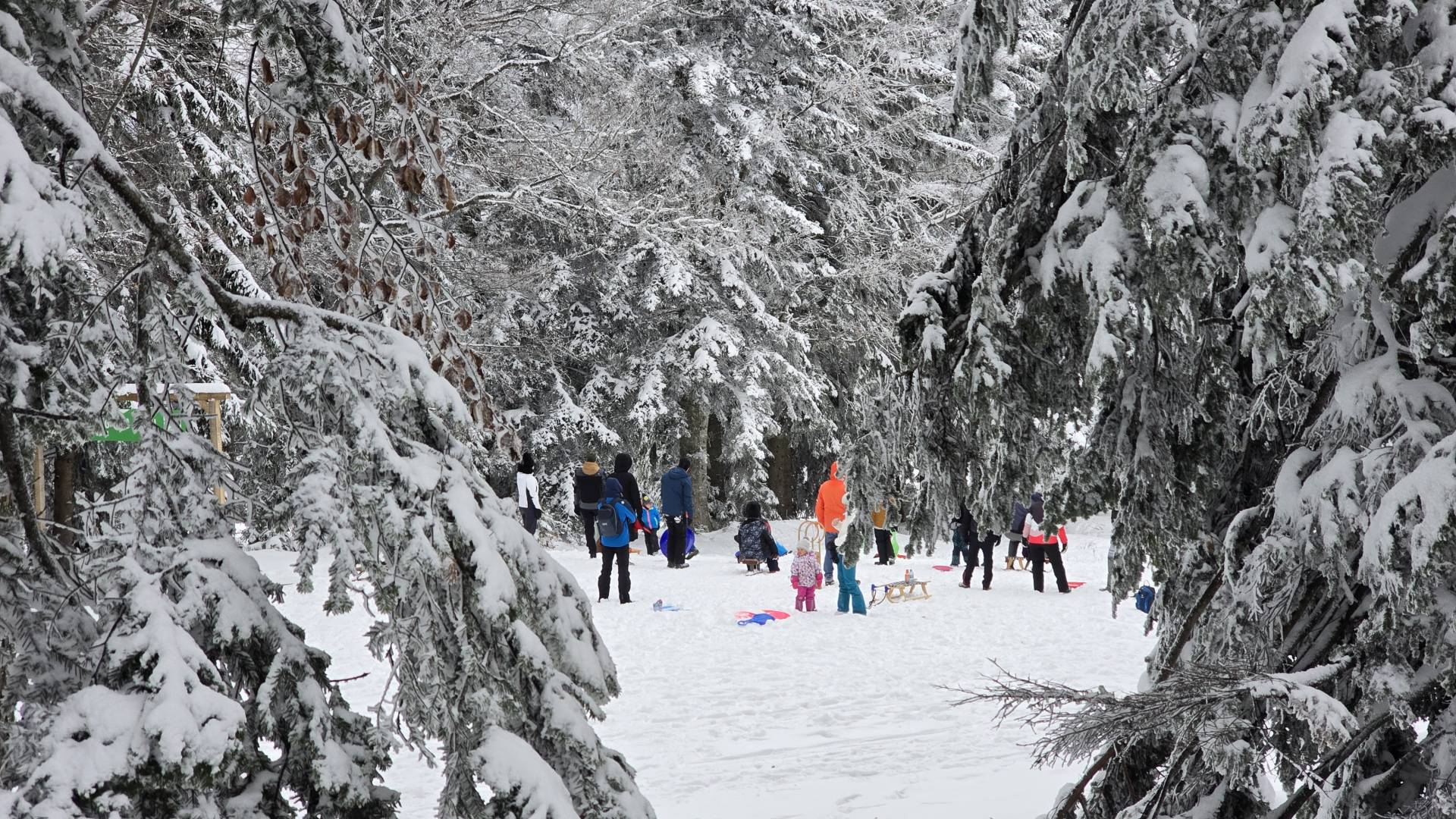 Pripravite se: Čakajo nas izrazita hladna jutra, v notranjosti bo megleno