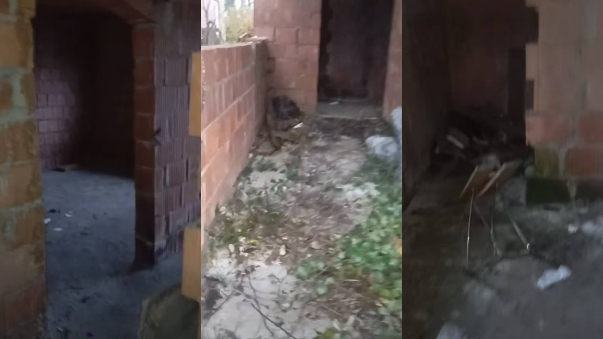 Nove razsežnosti poziva k pomoči moškemu: Prestajal več zapornih kazni, grozil in izvedel več kaznivih dejanj