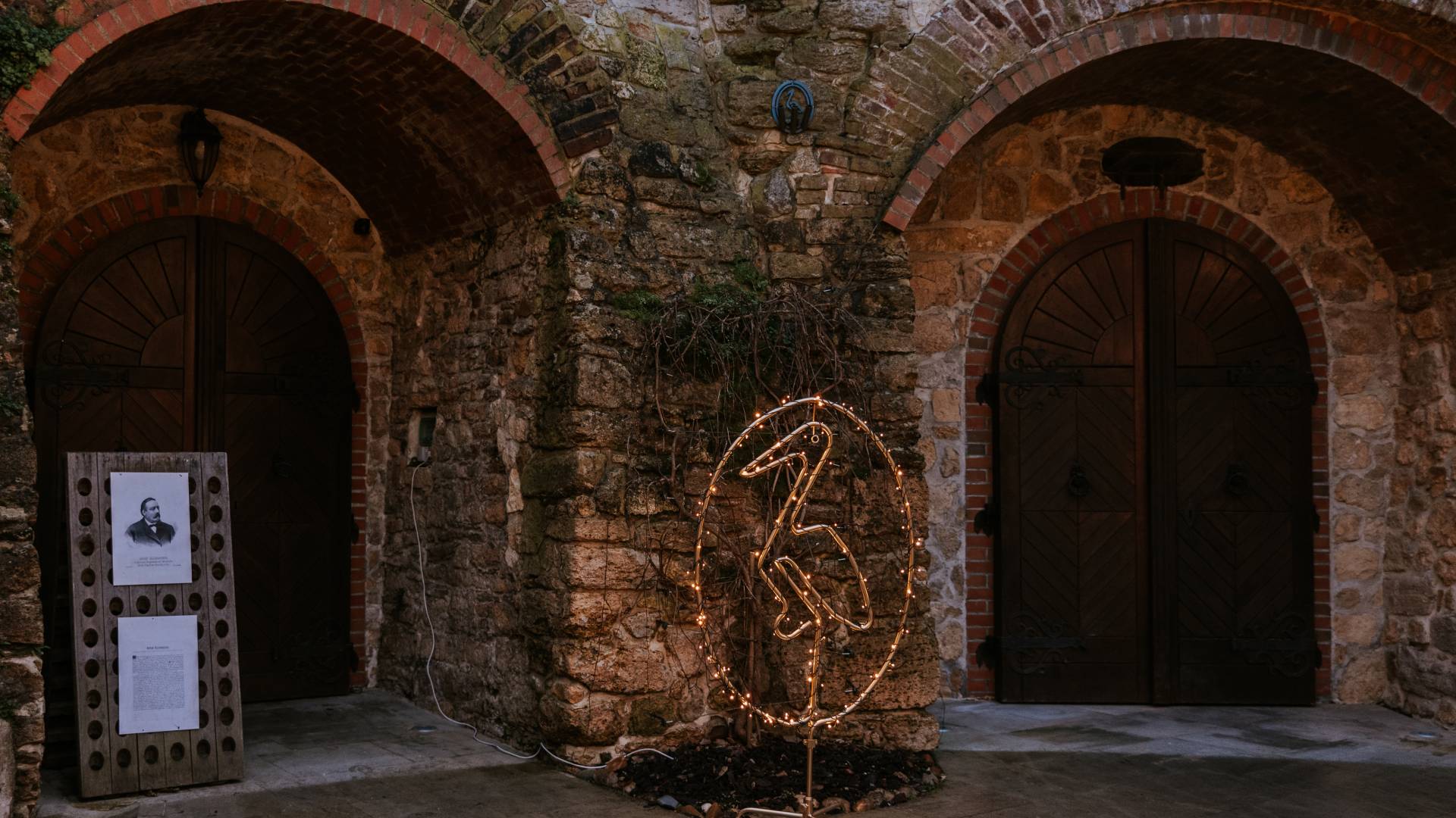 Prižig božičnih lučk v Domu penine: večer, ko zasije tradicija